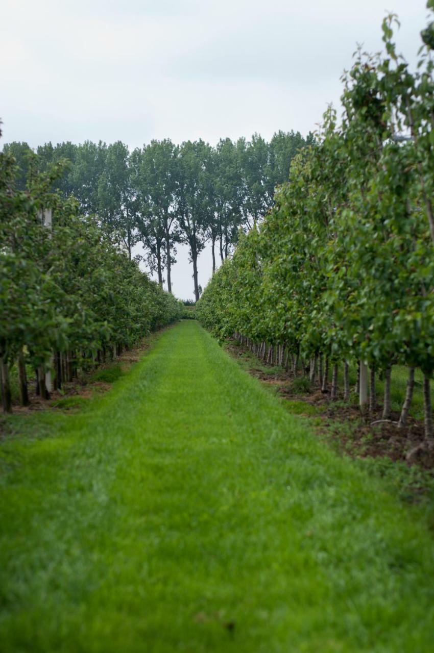 Hoeve Oude Tol Zuidzande المظهر الخارجي الصورة