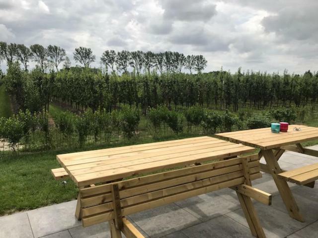 Hoeve Oude Tol Zuidzande المظهر الخارجي الصورة