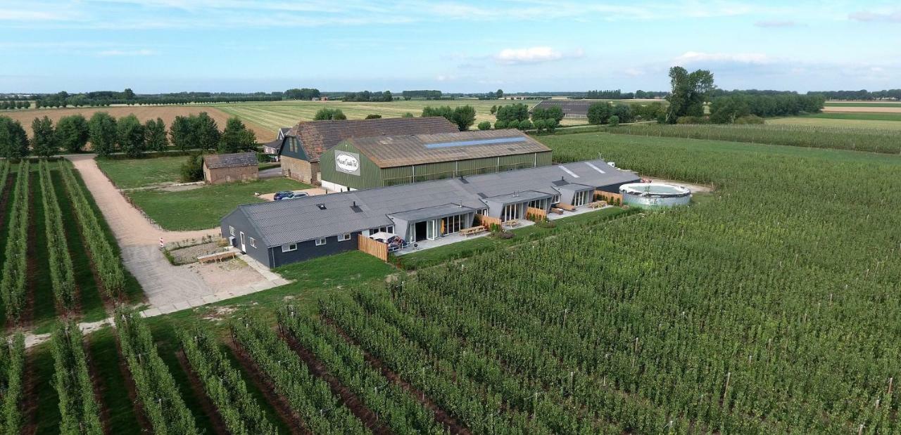 Hoeve Oude Tol Zuidzande المظهر الخارجي الصورة